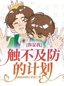 文轩：你是我触不及防的计划