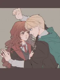 HP完美攻略