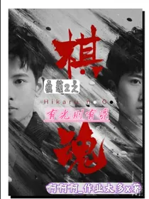 棋魂2之有光则有亮