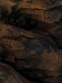 变异者1