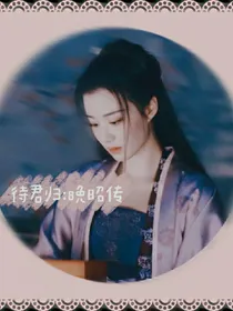 待君归：晚昭传