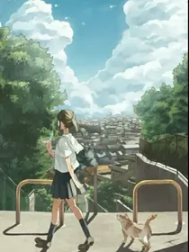 于是夏天不再等候