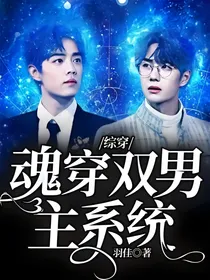 综穿：魂穿双男主系统