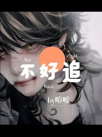 不好追