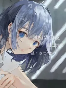 查理九世：从别