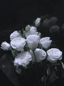 己亥杂文