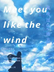 风吹过de地方