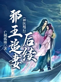 邪王追妻后续（神医凰后）