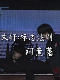文轩：标志法则