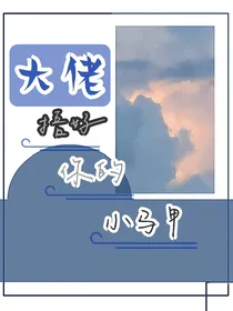 大佬捂好你的小马甲