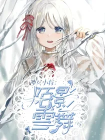 神兵小将：陌影雪舞