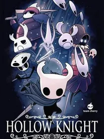 凹凸：空洞骑士