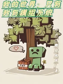 我的世界：只有我有模组系统