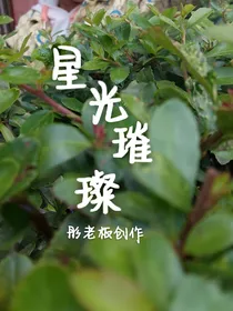 星光璀璨——