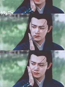 综影视之他们都爱我怎么办