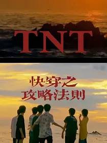 TNT：快穿之攻略法则