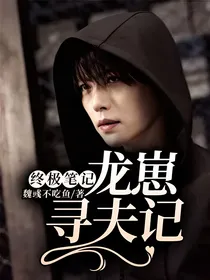 终极笔记：龙崽寻夫记