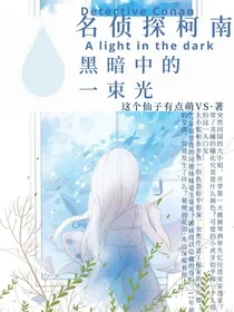 名侦探柯南：黑暗中的一束光