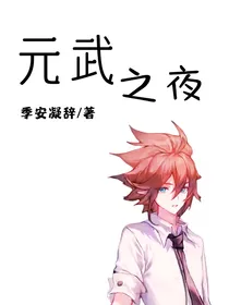 凹凸世界武拟：元武之夜