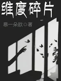 维度碎片