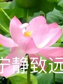 TNT大串烧甜文虐文