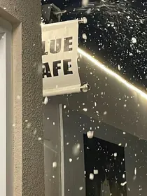 萧萧鬓华