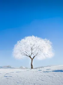 武战道之重拾旧忆