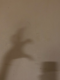 长阳晚秋
