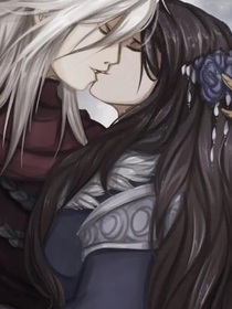 宫主大人的小娇夫