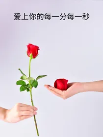 爱上你的每一分每一秒