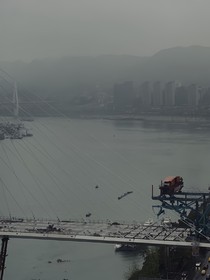 踯躅