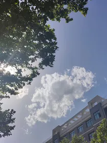 似水流年终是你