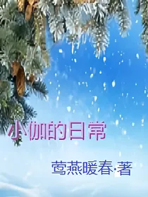 小伽的日常