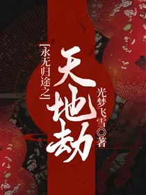 永无归途之天地劫