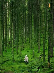 醉山间