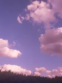 还没来得及好好珍惜