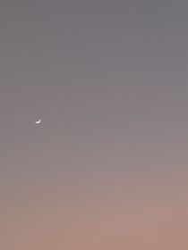 夜思文案