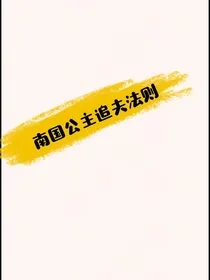 南国公主的追夫法则