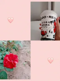 剧本杀的剧本（有答案）