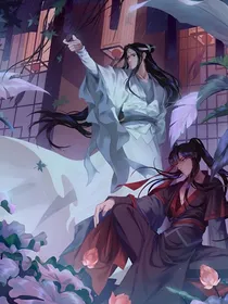 魔道忘羡阅读