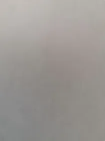 共同目的