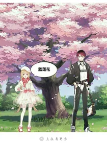 蓝莲花……
