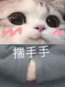 末世来临：重生女配甜又飒