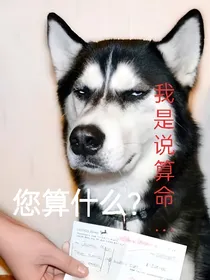 德云社：您算什么？我说的算命……