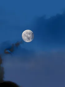 黎辞