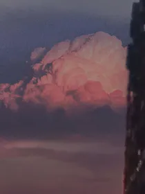 浪费了3年青春