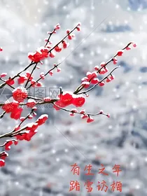 踏雪访梅（有生之年系列）