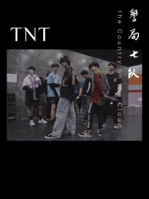 TNT：警局七队