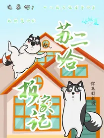 苏二哈拆家记