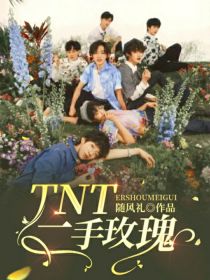 TNT：二手玫瑰